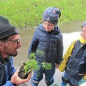 Kleine Gärten mit nachhaltiger Wirkung