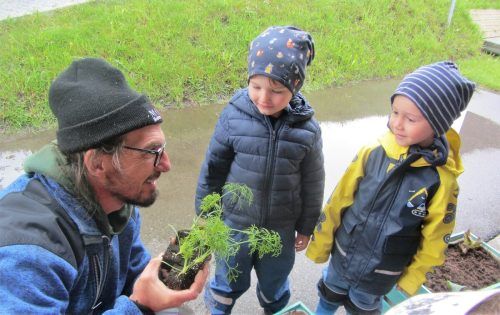 Mit dem Projekt „Kischta Gärtle“ lernen die Kids viel Wissenswertes über die Naturkreisläufe.  Kindergarten Buch (3)