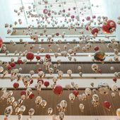 vorarlberg museum feiert Jubiläum