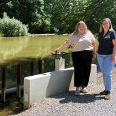 Hochwasserschutz im Emser Norden