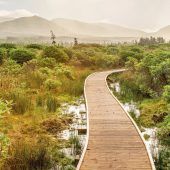 Wild Nephin Nationalpark