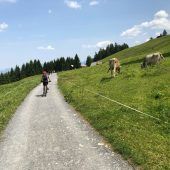 Unterwegs im kleinen Grenzverkehr