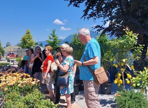 Viele interessierte Senior(inn)en waren bei der Besichtigung der Gärtnerei Waibel dabei. 50 plus Zwischenwasser
