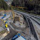 Tunnelspinne in der Klimakrise?!