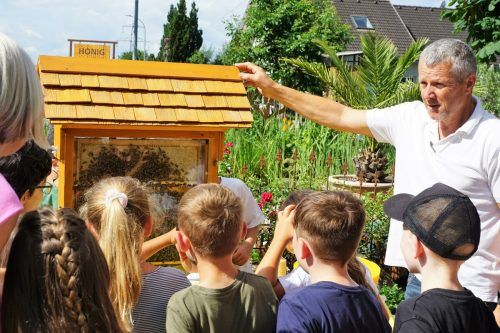 Das Bienen-Getümmel war das Highlight der Exkursion zum Schulschluss in Hörbranz. MST