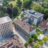 Grüne Oase an der Bärenkreuzung