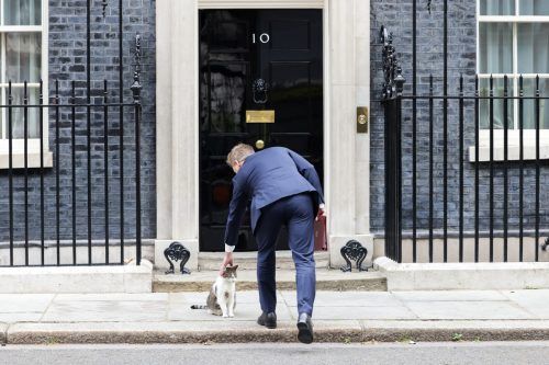 Der britische Wirtschafts- und Energieminister Grant Shapps streichelt Larry, die Katze, vor der Downing Street in London. Reuters