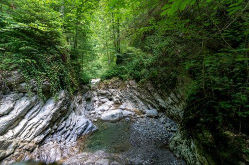Der Emmebach hat in der Örflaschlucht eine besondere Welt in den Fels gegraben.