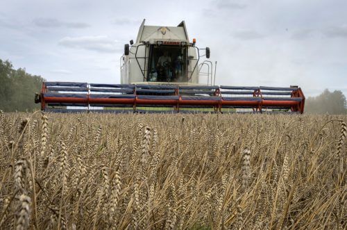 Der Transport von Millionen Tonnen von ukrainischem Getreide, vor allem Mais und Weizen, kommt auf dem Seeweg zum Erliegen.  AP