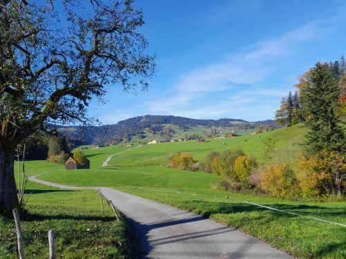 Der wunderbare Ausblick lädt zum Verweilen ein.