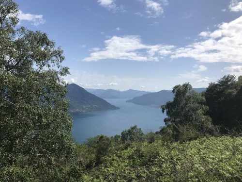 Die herrlichen Wälder an den Hängen des Lago Maggiore. Wikipedia