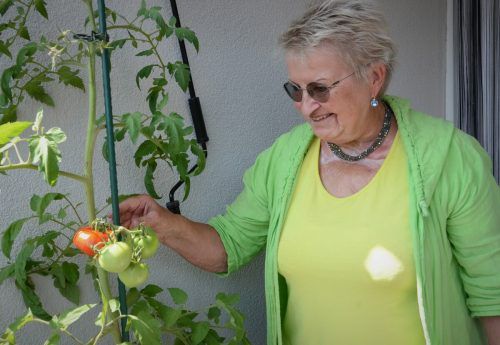 Die Hobbygärtnerin freut sich über die erste rote Tomate auf ihrem Balkon. HRJ (5)