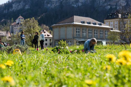 Die Stadtvertretung hat das neue Klima- und Umweltleitbild einstimmig beschlossen.  Stadt Feldkirch