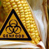 EU will Lockerungen bei Gentechnik