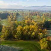 Wieder mehr Wiesenbrüter im Ried