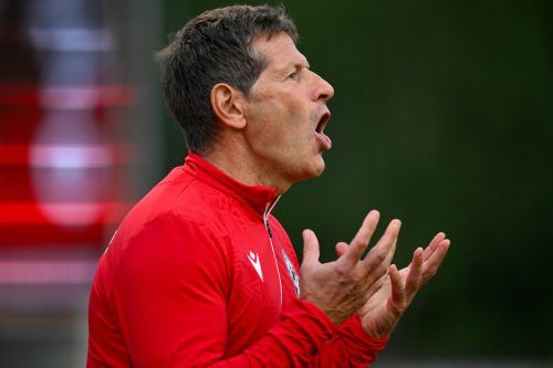 Gar nicht zufrieden mit der Leistung seiner Schützlinge: SW-Trainer Andreas Heraf. gepa