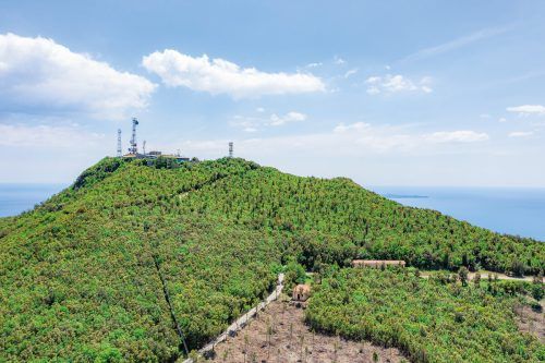 Grün ist die vorherrschende Farbe bei diesem Aussichtspunkt der Südtoskana. Shutterstock