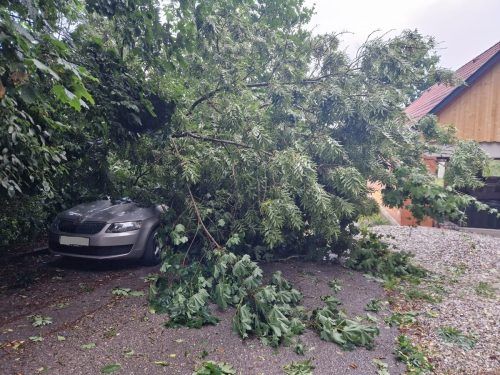 Im Bezirk Amstetten mussten zahlreiche Bäume und Gegenstände von Straßen entfernt werden. APA