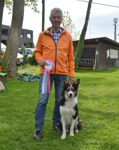 Steht mit 77 noch auf dem Stockerl: Erwin Metzler mit Bella, seiner siebeneinhalb-jährigen Border Collie. Privat