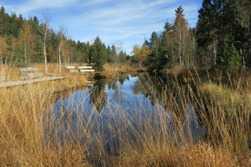 Vom Dorfplatz zur Natur und zurück: eine abwechslungsreiche Wanderung für Senioren in Sulzberg.  Roland Schmid und Jochen Campestrini