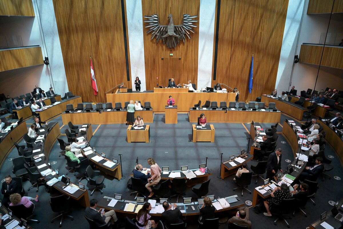 SPÖ und FPÖ hatten vergangene Woche den Antrag gestellt.  APA/Schlager