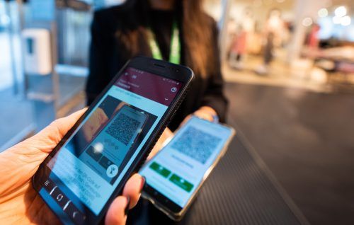 Was etwa die Grundlage für die "2G-Regel" war, wird in den "Fachlichen Begründungen" des Ministeriums erläutert. APA/2