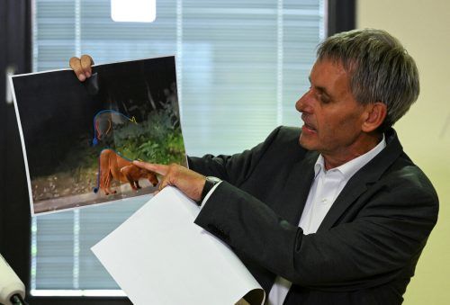 Wie Kleinmachnows Bürgermeister Michael Grubert bei der Pressekonferenz erklärt, gehen Experten nach der Analyse der Bilder aus einem Video nicht mehr von einem Raubtier aus.