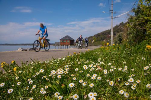 Alle fünf Jahre wird mittels Befragung das Mobilitätsverhalten erhoben. VN/Paulitsch