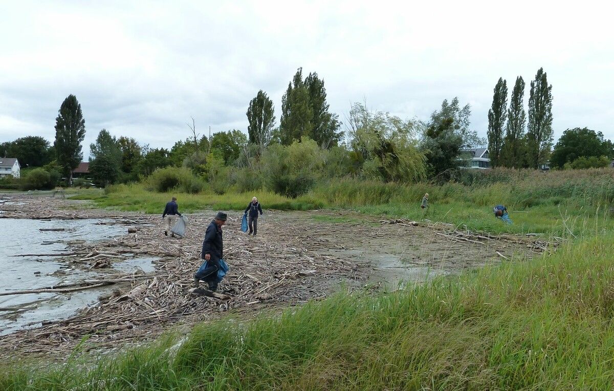Am 9. September werden die Ufer des Rheins vom Müll befreit. BN