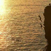 Bilder des Tages