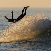 Bilder des Tages