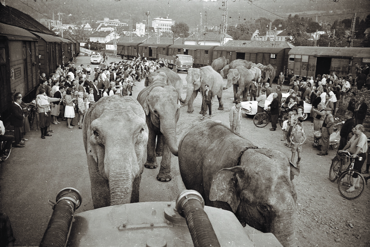 Bregenz, Zirkus Krone, 1964