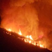 Waldbrand wütet auf Teneriffa – vier Dörfer evakuiert