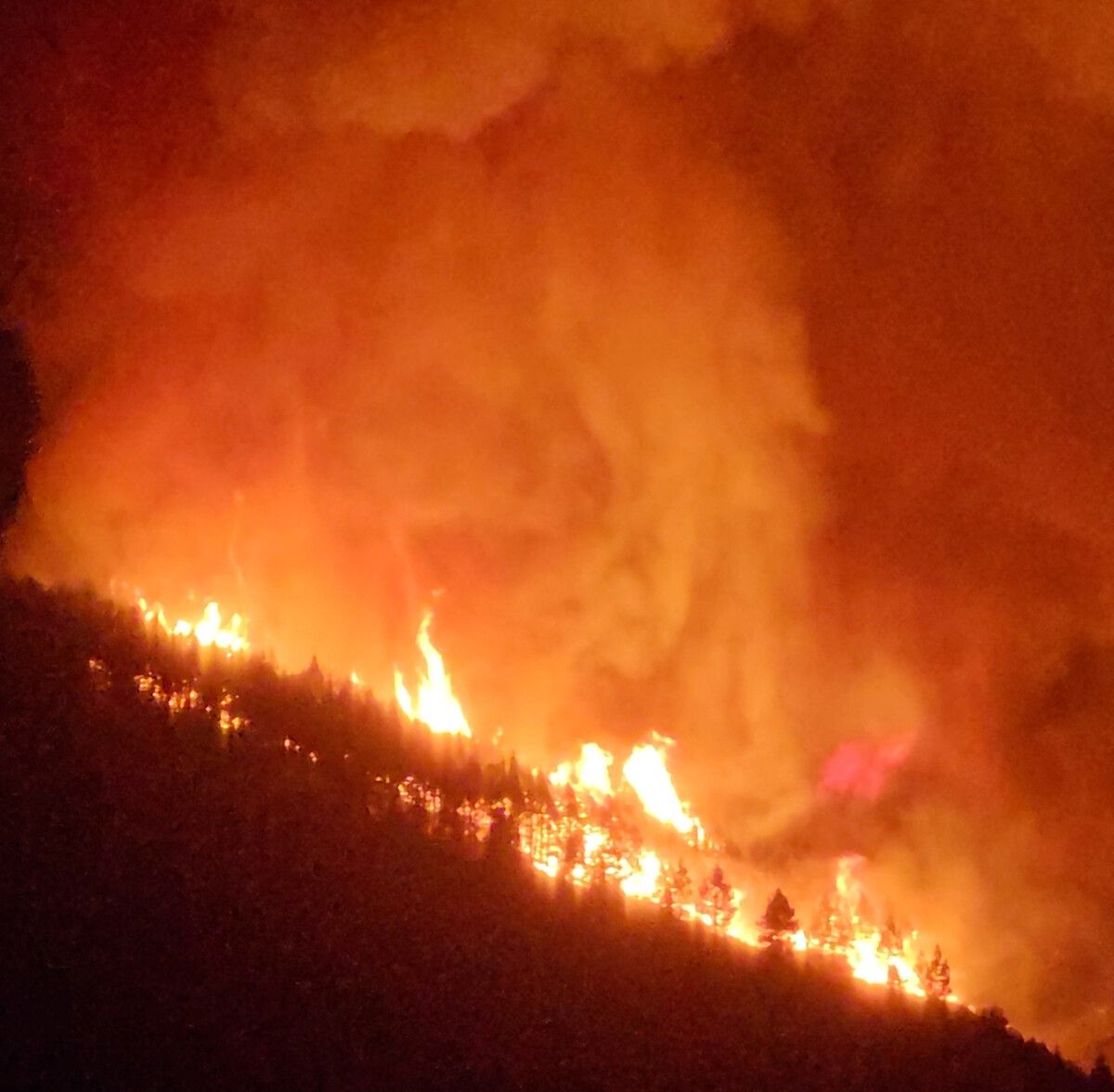 Das Feuer ist im Naturpark rund um den Vulkan Teide ausgebrochen. Reuters