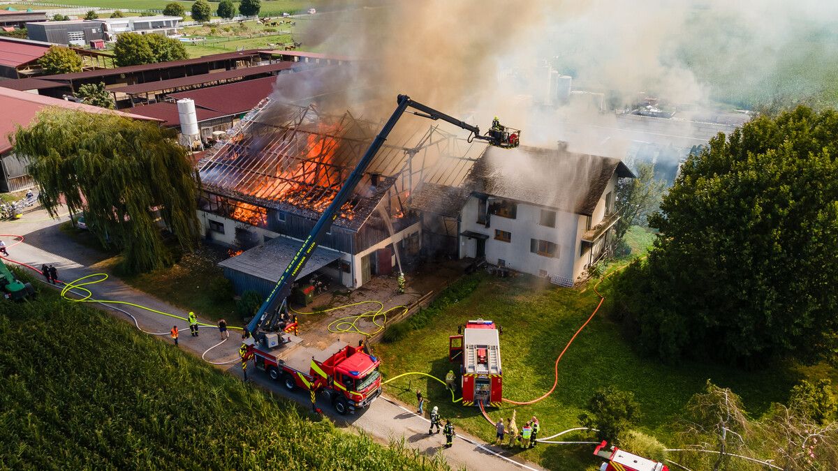 Das Stallgebäude konnte nicht vor der Zerstörung bewahrt werden, das angrenzende Wohngebäude glücklicherweise schon. b. hofmeister