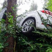 Wegen Reh mit Auto abgestürzt