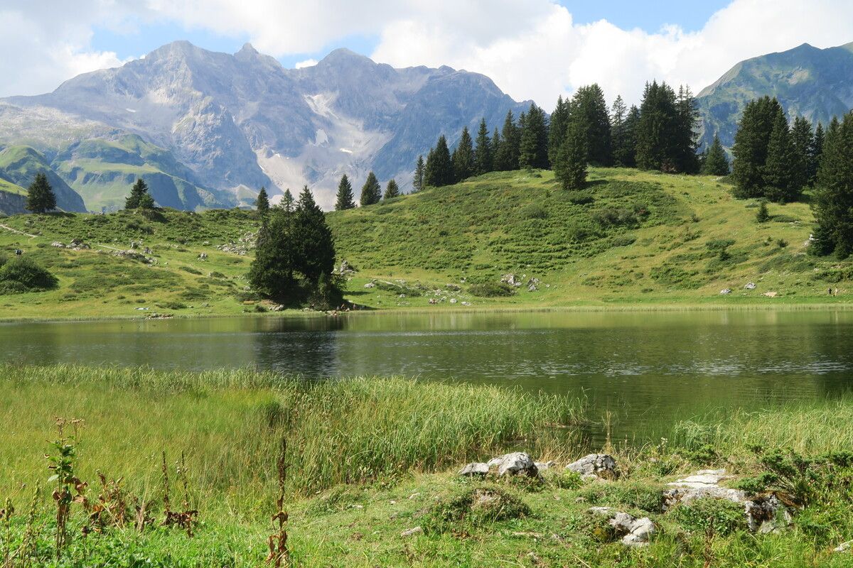 Der Körbersee in Schröcken im Hochtannberggebiet ist dreieinhalb Hektar groß und bis zu acht Meter tief.