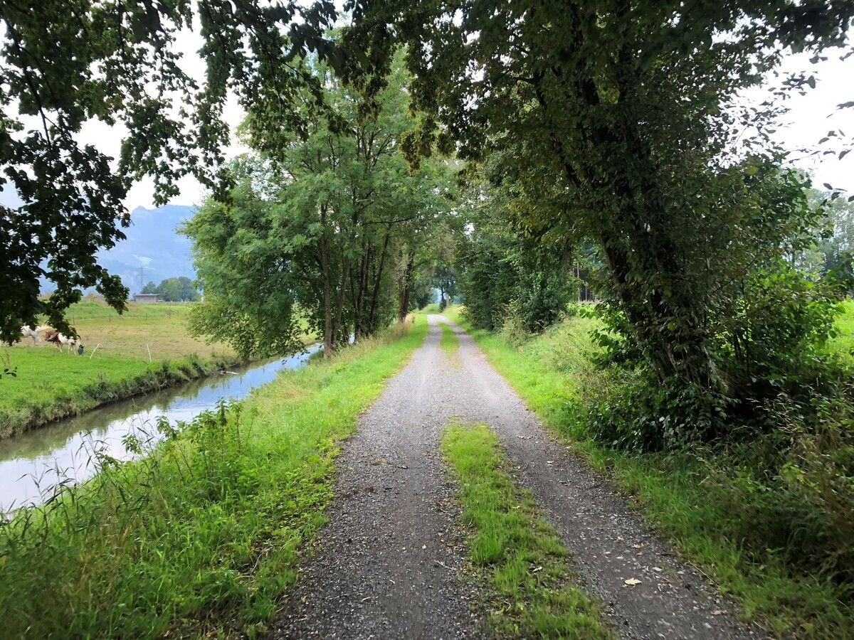 Der Vorarlberger Rheintalbinnenkanal bei Lustenau.