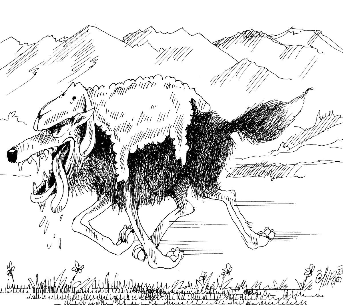 Der Wolf – in Vorarlberg angekommen!