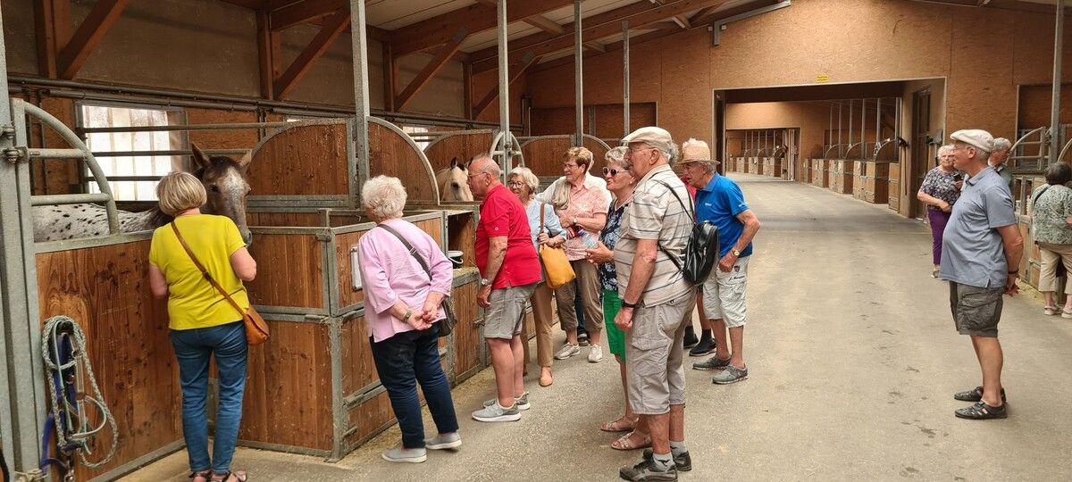 Die Hörbranzer Senioren zu Besuch im Westernreitclub bei der Familie Dünser in Rankweil-Brederis. 50plus Hörbranz