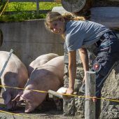 Besuch im irdischen Paradies