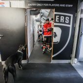 Startschuss für Pioneers