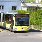 Horror-Szenen in Wolfurt