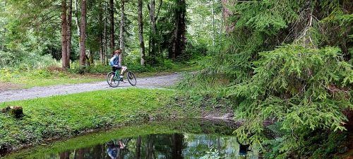 Es grünt so grün entlang des Klostertal-Radwegs. Das macht ihn neben anderem auch sympathisch. 