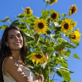 Blühende Spätsommer-Schönheit