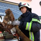 Flammen auf dem Dach