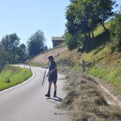Heuernte