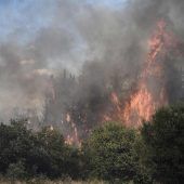 Brandgebiete weiter in Alarmbereitschaft