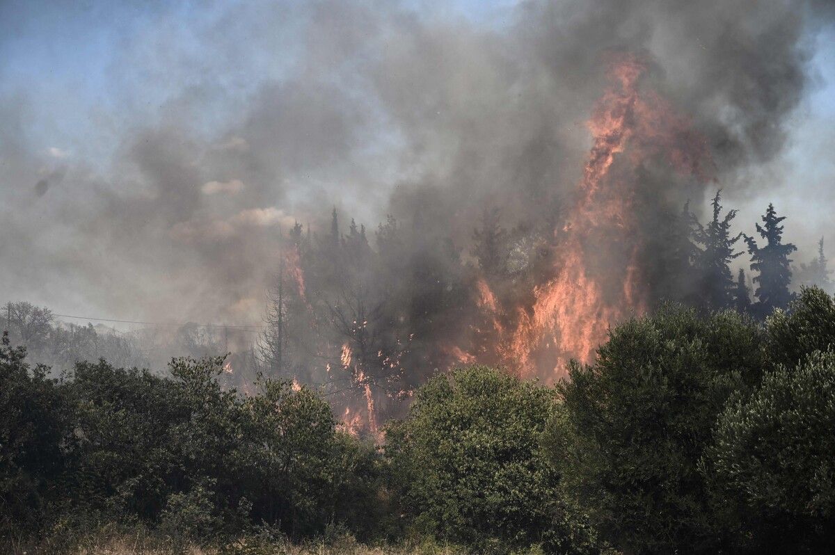 Flammen nahe Kaval. Auch auf Euböa und im Nationalpark Dadia brennt es. AFP