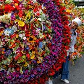 Bilder des Tages